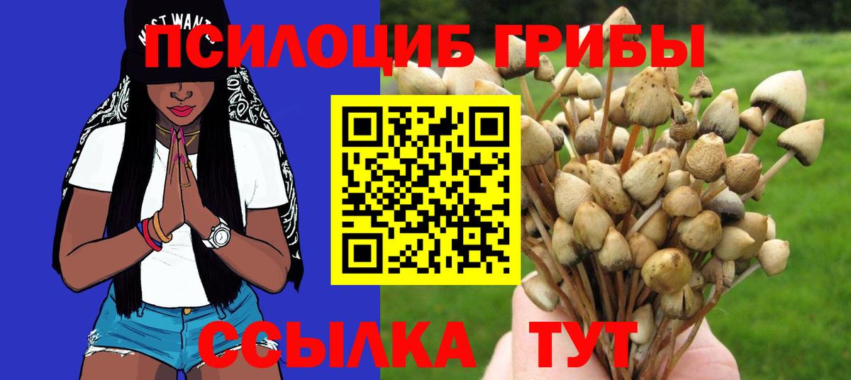купить   Вход с VPN  Ликино-Дулёво  Галлюциногенные грибы Psilocybe 